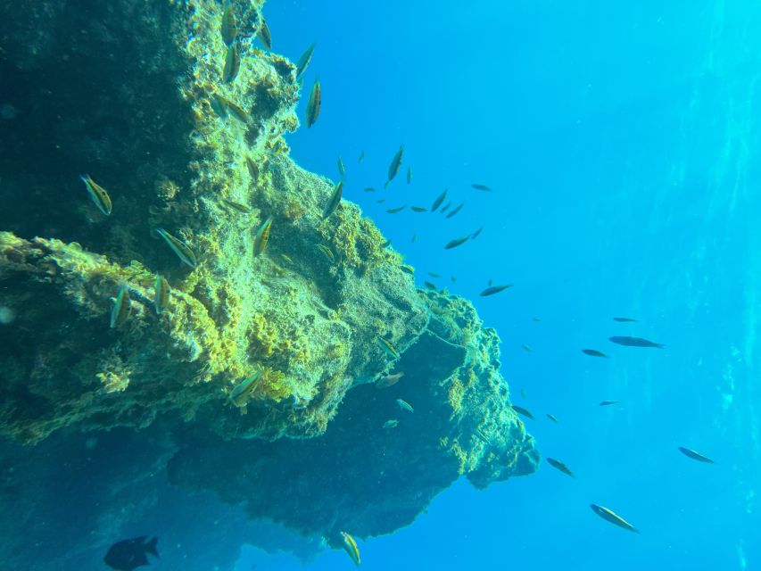 Diving course for beginners in turtle area Tenerife - Health and eligibility: who this is built for (and who should reconsider)