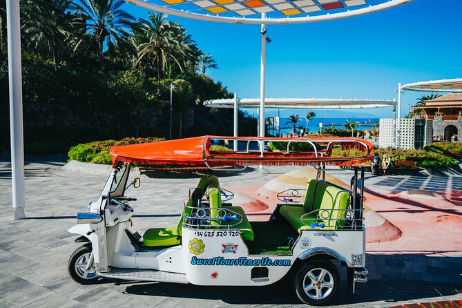 Double Tuk Tuk Tour in Costa Adeje - Key highlights that make this tour worth it