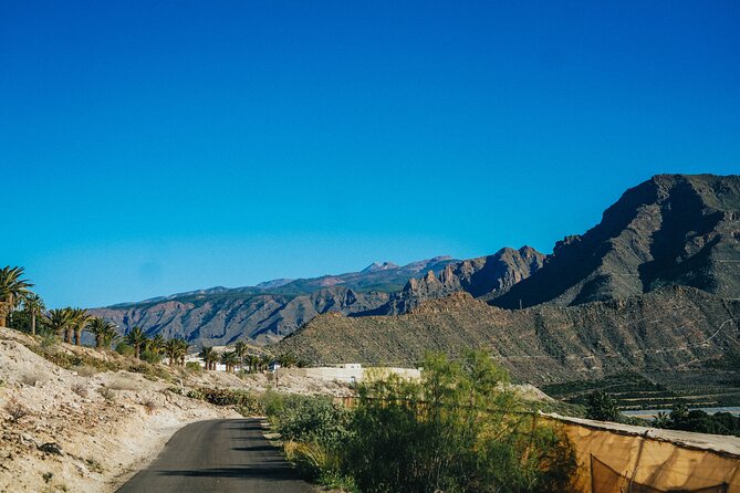Double Tuk Tuk Tour in Costa Adeje - La Caldera del Rey: bananas, volcanoes, and Guanches