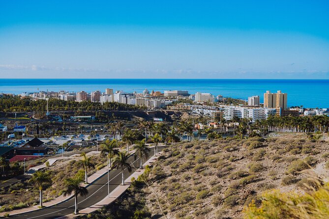 Double Tuk Tuk Tour in Costa Adeje - Duke area luxury, malls, and how it got that way