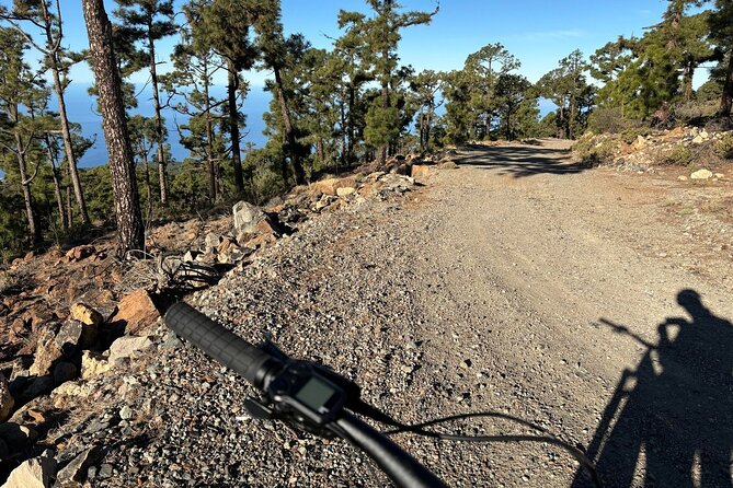 E-bike Ride at Chinyero Natural Reserve - on premium bikes - Chinyero Volcano stop: lava formations up close