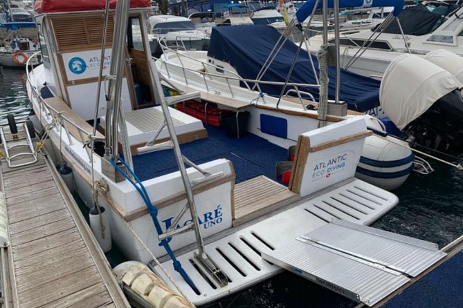 Eco Adapted Diving in Tenerife - Why Tenerife’s Southwest Coast Works So Well for a First Scuba Session