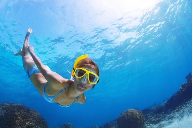 Exclusive Snorkeling Trip Guided by Marine Biology Specialist - Getting There: Air-Conditioned Minivan Pickup in Golf del Sur