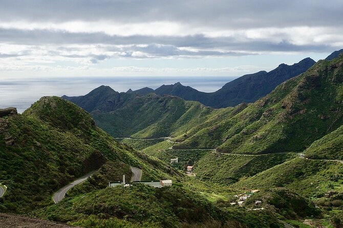Exclusive Tenerife Highlights Shore Tour for Cruise Passengers - The Drive Through Pine Forest Viewpoints: A Surprise Bonus