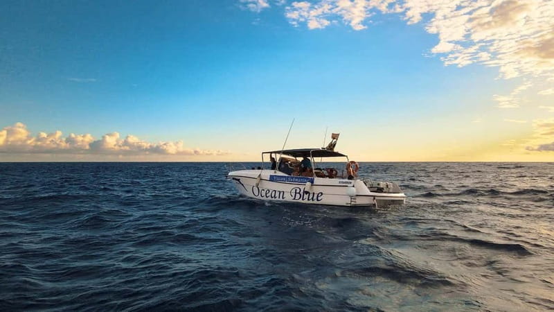 Excursion to see the whales - 3 Hours - Why this Tenerife whale watch stays personal