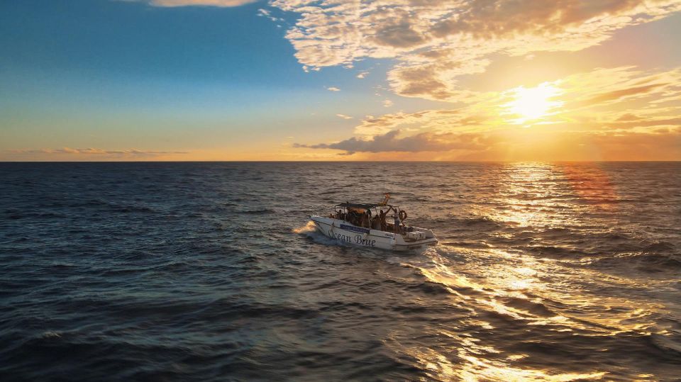 Excursion to see the whales - 3 Hours - Practical tips to make the 3 hours easier