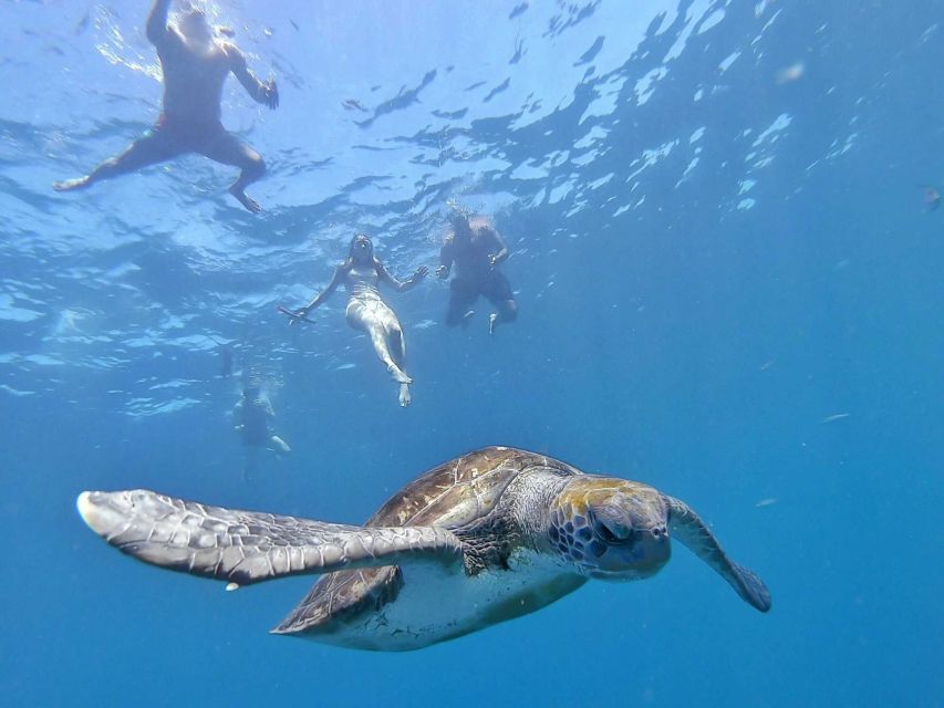 Explore Tenerife with the Snorkel Kit - Kayak time: fun if you can handle effort, annoying if you can’t