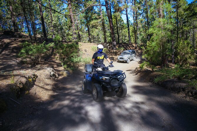 Forest & Off Road National Park Quad Biking Tour - Key things I’d plan around before you go
