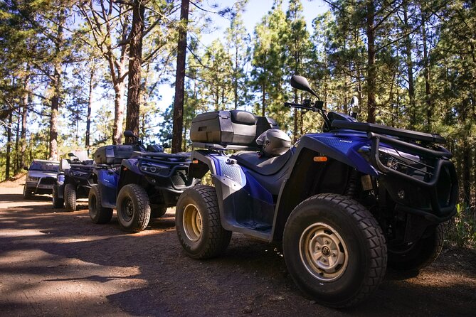 Forest & Off Road National Park Quad Biking Tour - The 3-hour ride: what you’ll do and what to expect at each stage
