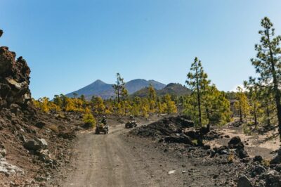 From Costa Adeje: Mount Teide Forest Off-Road Quad Bike Tour - Quad training, helmets, jackets, and the escorted start