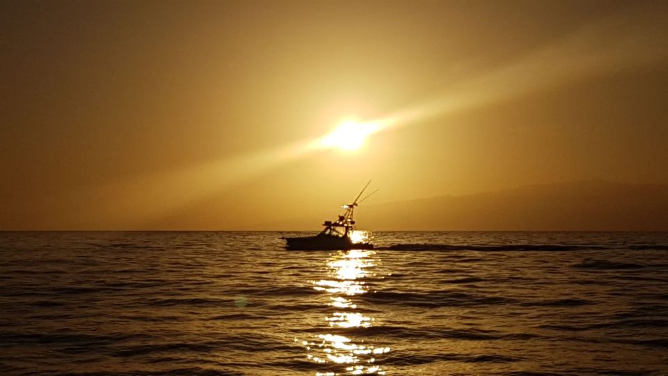 From Puerto Colón: Private Fishing Boat Charter with Lunch - Where You Start: Puerto Colón and the Royal Garden Boat