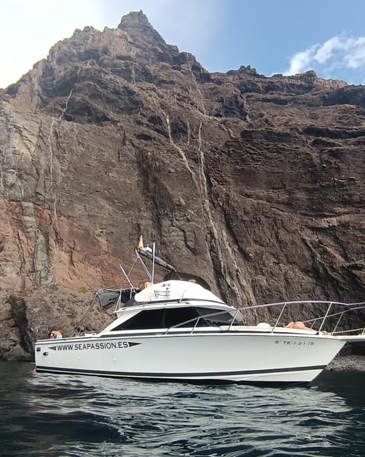 From San Juan beach : Marine Life Cruise - Whales and dolphins spotting: what to watch for and how to stay patient