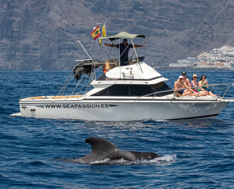 From San Juan beach : Marine Life Cruise - The captain’s science lessons: marine life, plus vulcanology and weather
