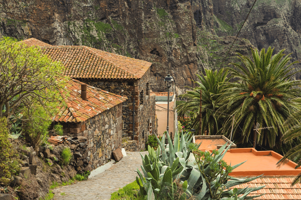 From Santa Cruz de Tenerife: Masca & Garachico Private Trip - Masca village and its ravines: houses on the edge