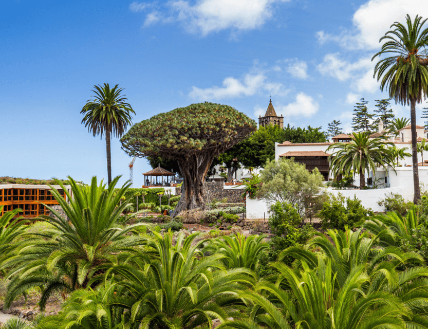 From Santa Cruz de Tenerife: Masca & Garachico Private Trip - Icod de los Vinos and the Drago Milenario stop