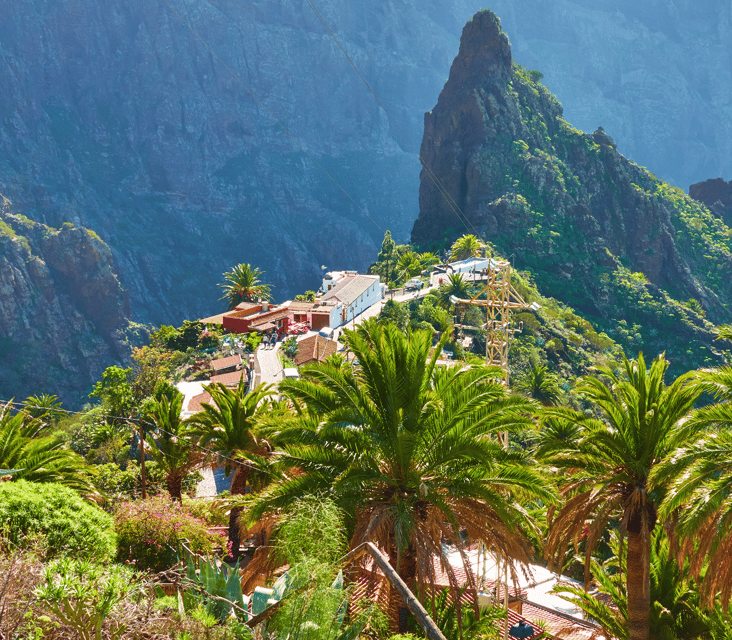 From Santa Cruz de Tenerife: Masca & Garachico Private Trip - Timing, comfort, and how to plan your day right