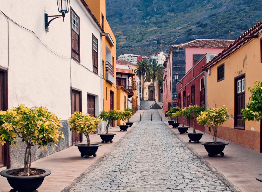 From Santa Cruz de Tenerife: Masca & Garachico Private Trip - Who this tour suits best (and who should skip it)