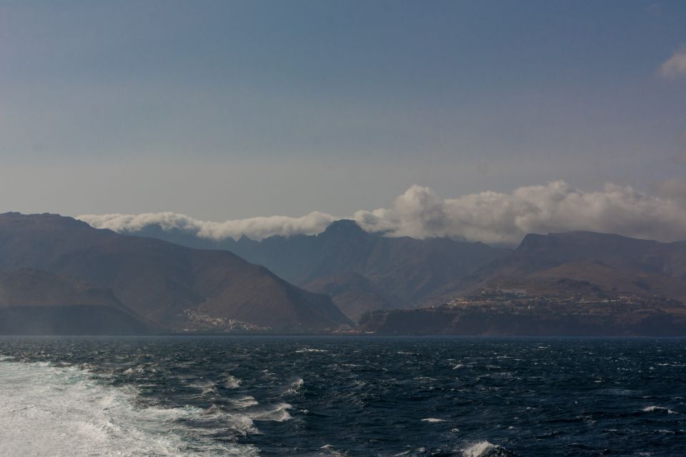 From South Tenerife: VIP Gomera Tour - Key things that make this tour work