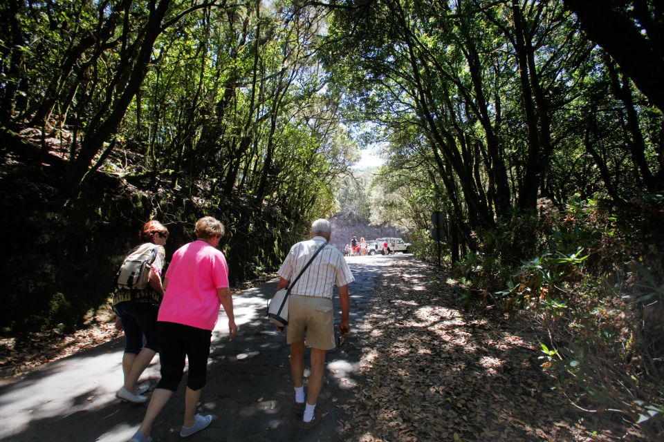Full-Day Gomera Jeep Safari Excursion from Arona - Should you book this full-day Gomera Jeep safari excursion?