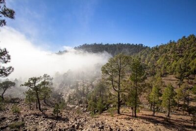 Full Day Small Group Tour to Masca and Teide From North Tenerife - Mirador de Chipeque: when the clouds make the view