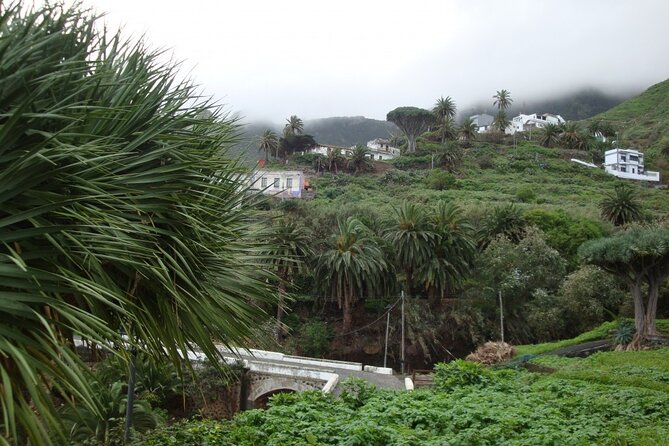 Full Day Tour of Santa Cruz and San Cristóbal de La Laguna - Quick hits on this full-day Tenerife loop