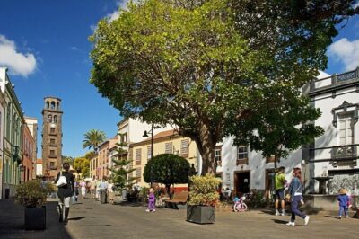 Full Day Tour of Santa Cruz and San Cristóbal de La Laguna - Morning start at 8:00: pickup timing can make or break your day