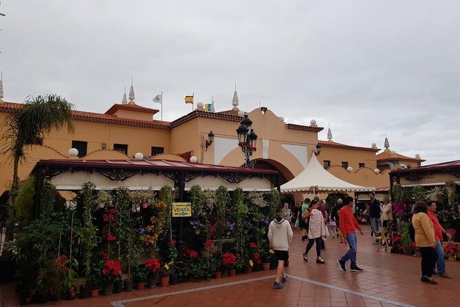 Full Day Tour of Santa Cruz and San Cristóbal de La Laguna - The official guide: English is offered, but quality can vary