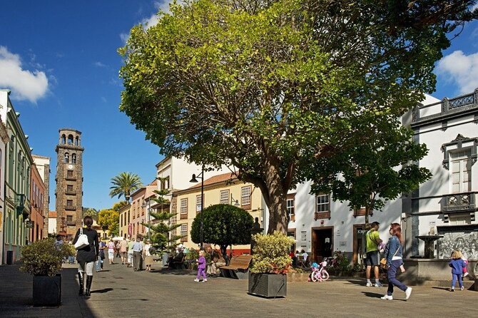 Full Day Tour of Santa Cruz and San Cristóbal de La Laguna - Morning start at 8:00: pickup timing can make or break your day