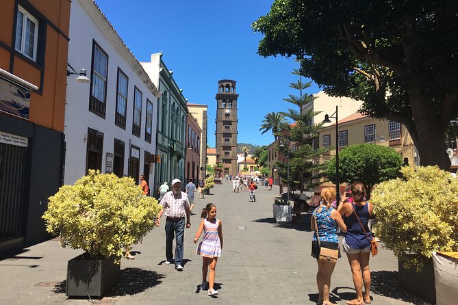 Full day tour visiting Santa Cruz, La Laguna and Anaga - Pickup and Meeting Points: The Part You Must Get Right