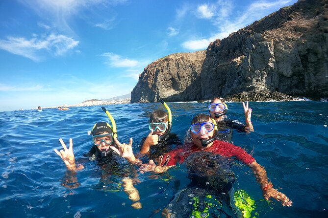 Fun Dive With Scuba Point in Los Cristianos - Price and value: what $91.71 gets you (and what costs extra)