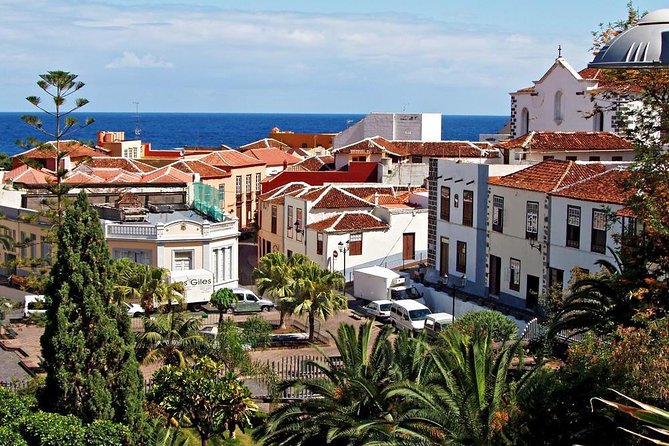 Go West - VIP Private Tour in Tenerife to Masca, Garachico and Icod - Meeting Point, Pickup Timing, and How the Day Flows