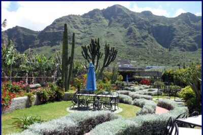 Go West - VIP Private Tour in Tenerife to Masca, Garachico and Icod - Price and What You Really Get for $198.50