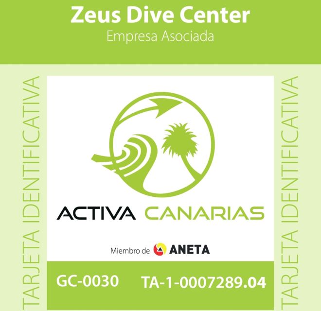 Gran Canaria Scuba Diving for Certified Divers - Key Highlights You’ll Actually Care About