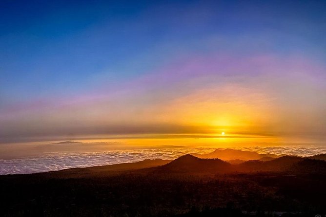 Grand Tour Tenerife - Full-Day Private VIP Tour - Parque Rural de Anaga: rainforest time and short walks