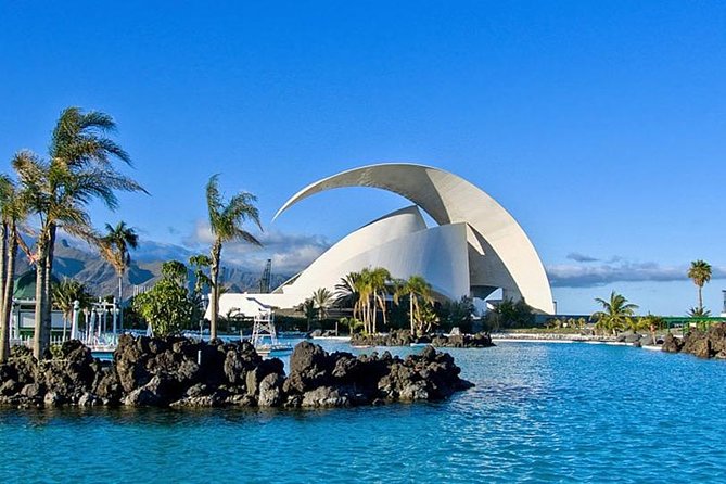 Grand Tour Tenerife - Full-Day Private VIP Tour - Buenavista del Norte lunch stop: a reset point that keeps the day workable
