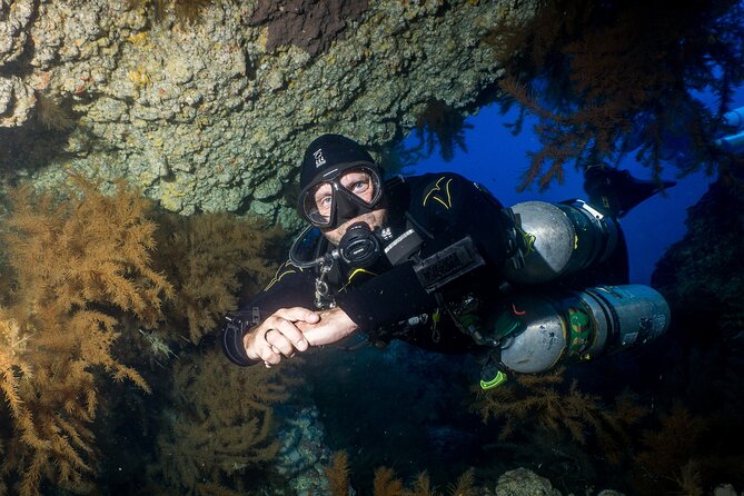 Guided Boat Dives for Certified Divers - Marine life and different underwater sites: why variety beats repetition