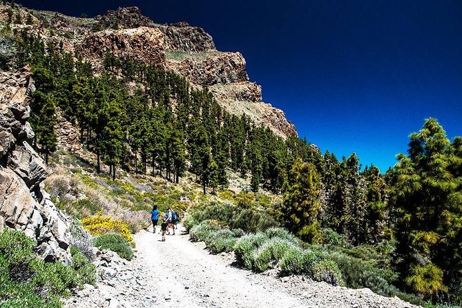 Guided Hike - The Tajinaste Trail - The picnic break: a pause that keeps the hike enjoyable
