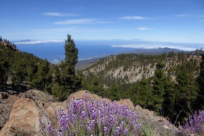 Guided Hike - The Tajinaste Trail - What to bring for 6 hours at altitude