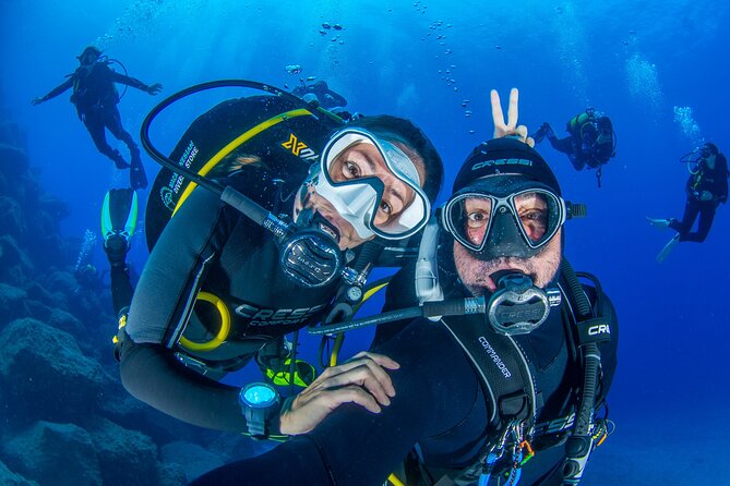 Guided Immersion from Santa Cruz de Tenerife - Key highlights at a glance