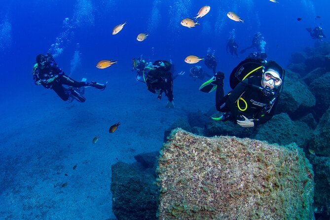 Guided Immersion from Santa Cruz de Tenerife - Radazul Bay in Tenerife: why this location works