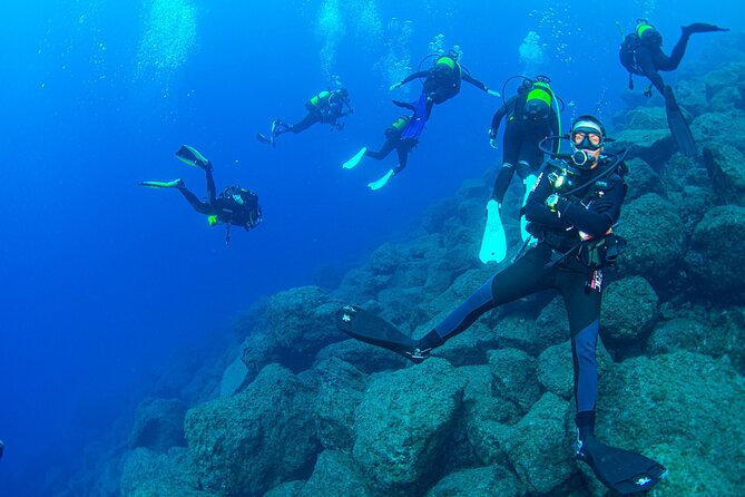 Guided Immersion from Santa Cruz de Tenerife - Meeting Macaronesian Divers in Radazul: logistics that don’t fight you
