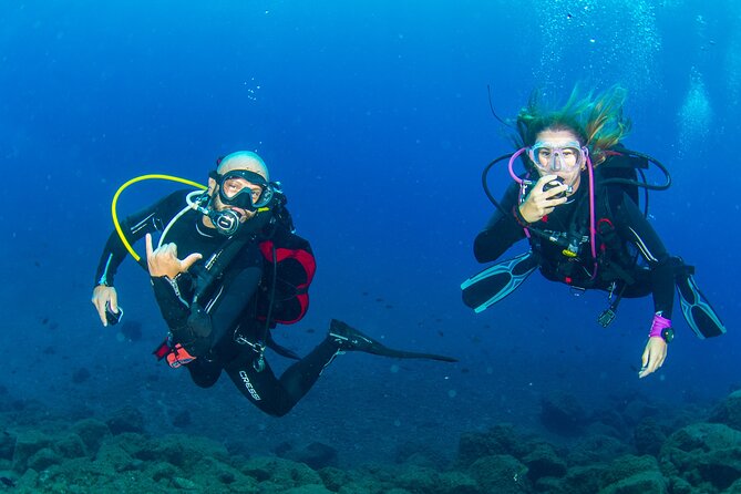 Guided Immersion from Santa Cruz de Tenerife - What you’ll actually do underwater (and how the guide keeps it smooth)