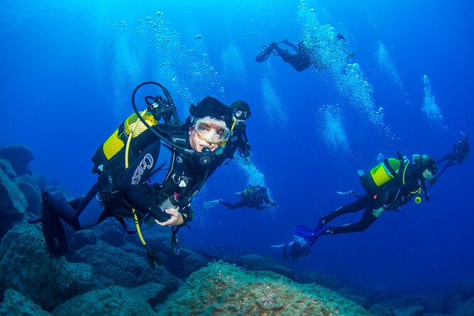 Guided Immersion from Santa Cruz de Tenerife - The 3-hour flow: briefing, water time, and video wrap-up