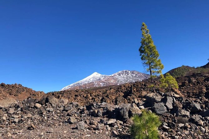 Guided Tour to Teide National Park in Tenerife - Key highlights you’ll feel immediately