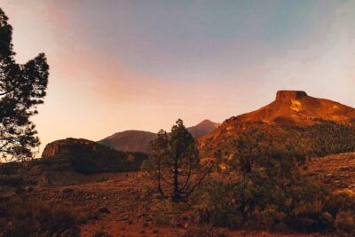 Guided Tour to Teide National Park in Tenerife - Vilaflor coffee stop: short time, big altitude payoff