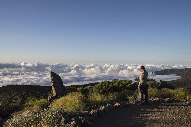 Guided Tour to Teide National Park in Tenerife - Price and value: what $66.08 buys you, and what it doesn’t