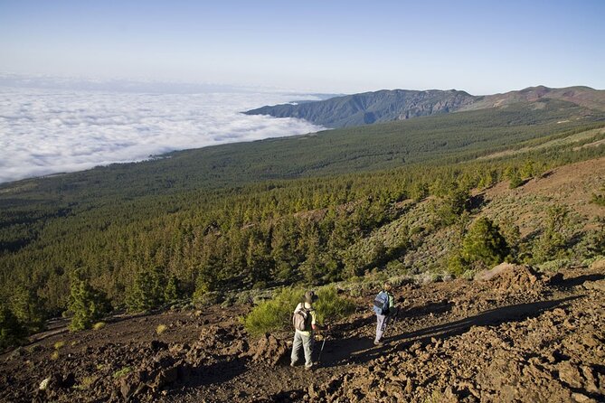 Guided Tour to Teide National Park in Tenerife - Who this Teide tour suits best (and who should choose another plan)