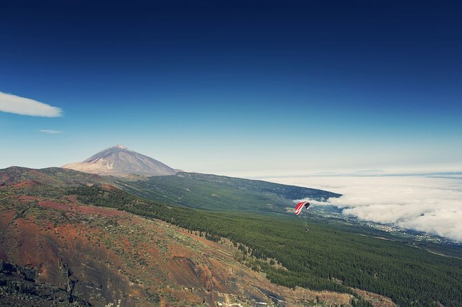 Guided Tour to Teide National Park in Tenerife - Should you book this Teide National Park day trip?