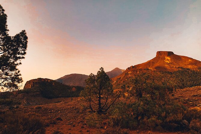 Guided Tour to Teide National Park in Tenerife - Vilaflor coffee stop: short time, big altitude payoff