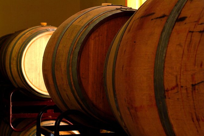 Guided Tour with 6 Wine Tasting - The Commented Tasting of 6 Wines (and How to Enjoy It)
